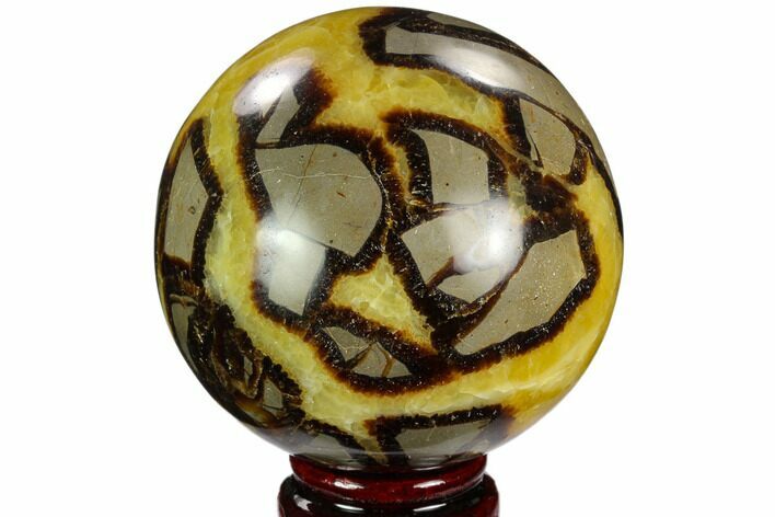 Polished Septarian Sphere - Madagascar #122928